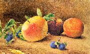 Hill, John William Study of Fruit oil painting on canvas
